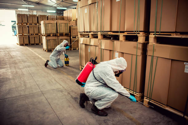 Best Affordable Pest Control Services  in Port Reading, NJ