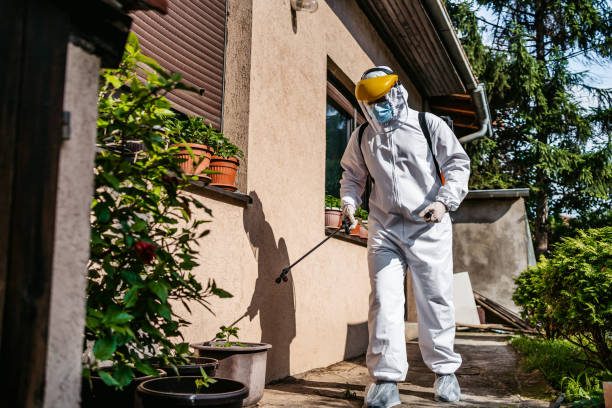 Best Termite Control Services  in Port Reading, NJ