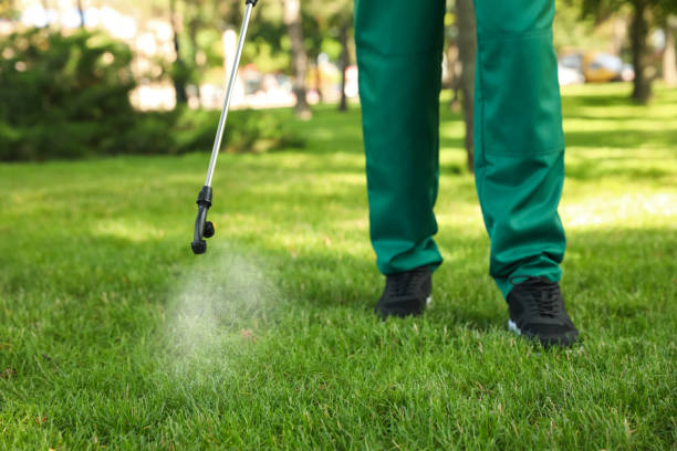 Best Best Pest Control Companies  in Port Reading, NJ